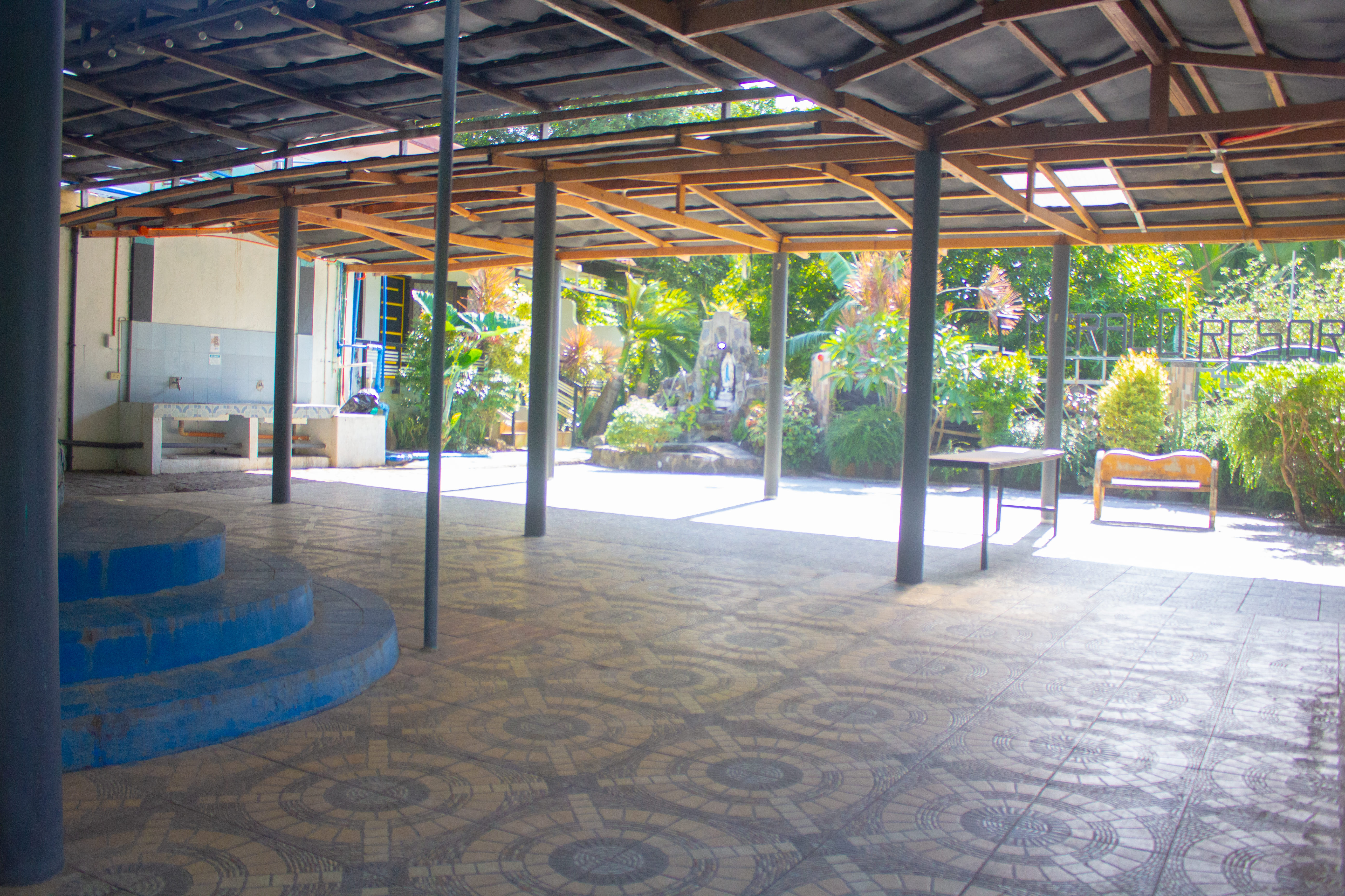 An outdoor scene with tropical plants and a tiled walkway, featuring a glass-paneled building with reflections of the surroundings.