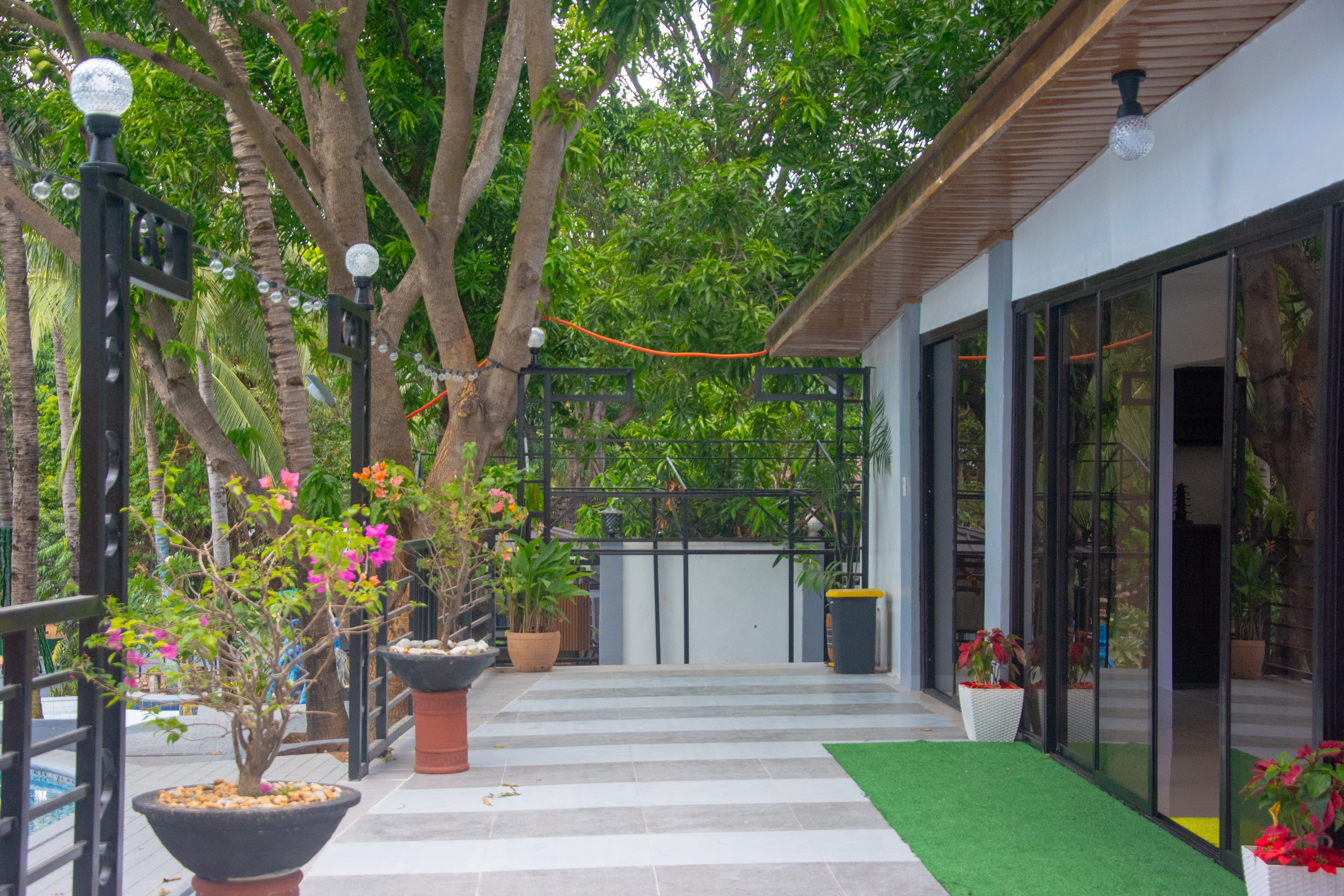 An outdoor scene with tropical plants and a tiled walkway, featuring a glass-paneled building with reflections of the surroundings.