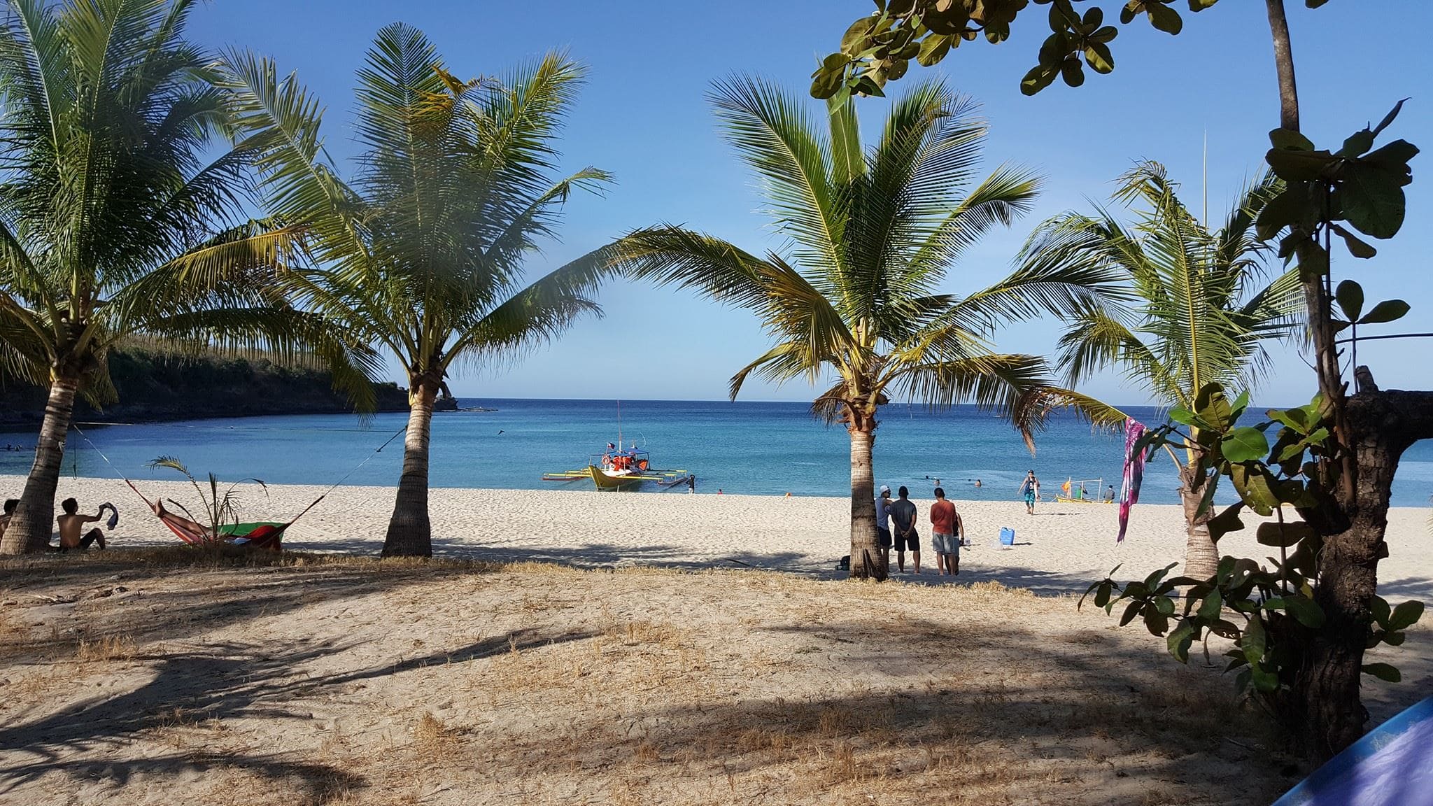 Beach with palm trees