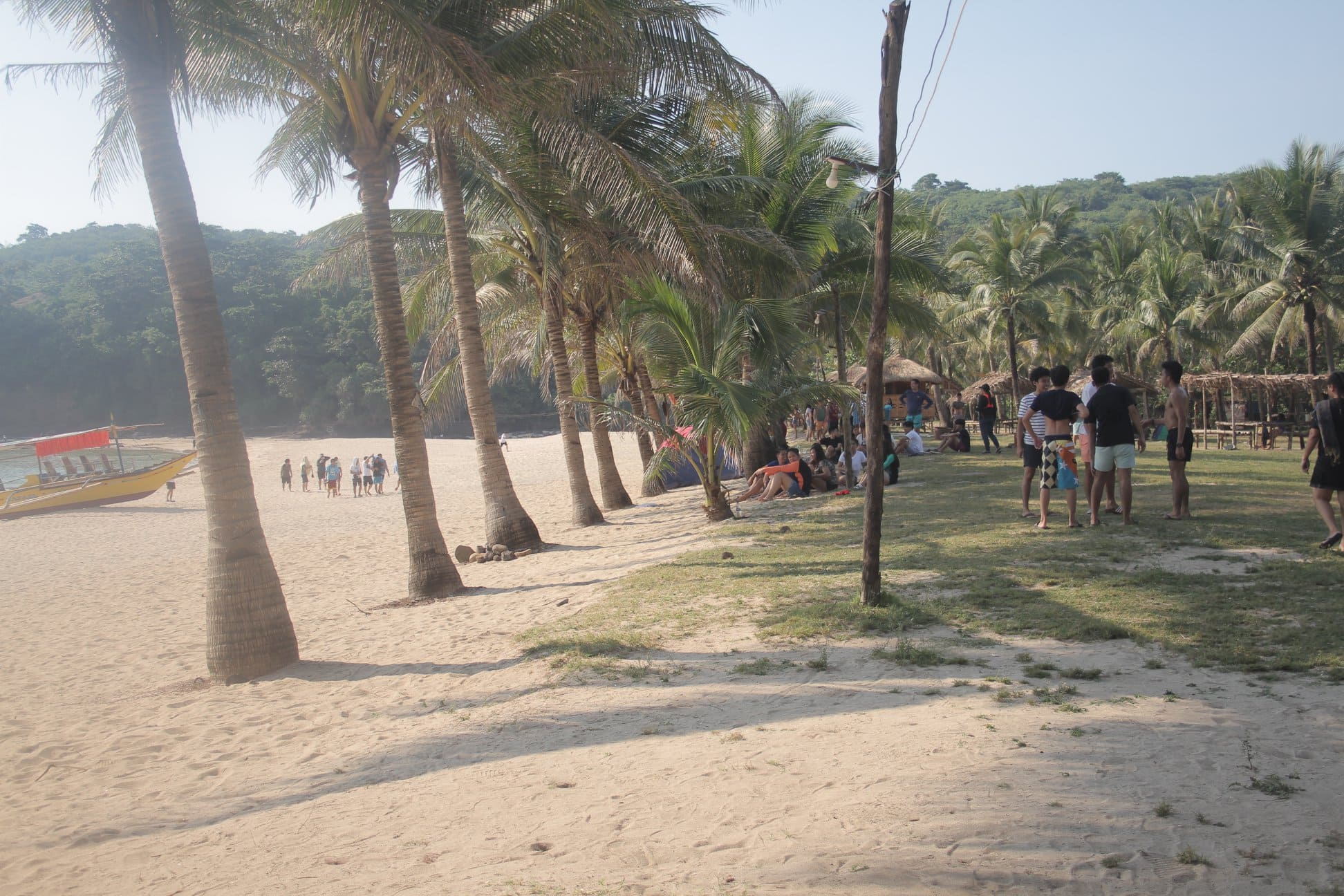 Beach with palm trees